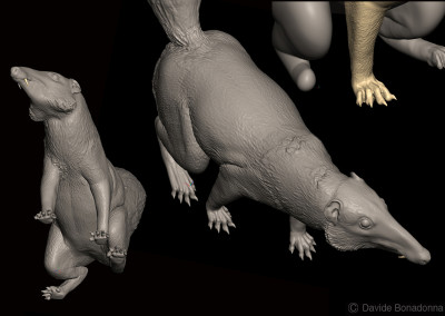 CRONOPIO - “Dinosaurs in the Flesh” traveling exhibition - ClayTools - 2012 - Scientific supervisor: Simone Maganuco