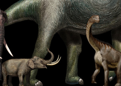 DWARFS AND GIANTS - “Dinosaurs in the Flesh” traveling exhibition  - Tempera and Digital - 2011 - Scientific supervisor: Simone Maganuco