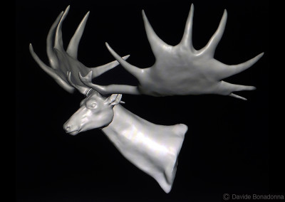 MEGALOCEROS - “Dinosaurs in the Flesh” traveling exhibition - ClayTools - 2011 - Scientific supervisor: Simone Maganuco