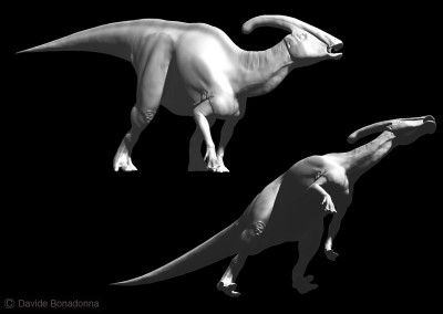 PARASAUROLOPHUS - “Dinosaurs in the Flesh” traveling exhibition - ClayTools - 2012 - Scientific supervisor: Simone Maganuco