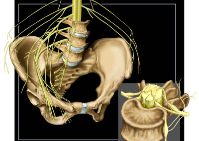 FEMORAL PLEXUS - Digital 2006 – Newton magazine, Editing