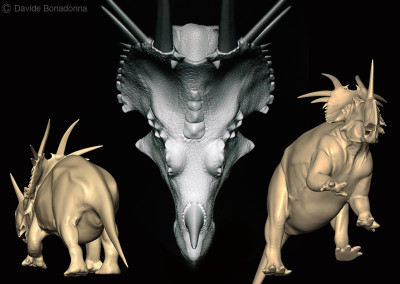 STYRACOSAURUS - “Dinosaurs in the Flesh” traveling exhibition - ClayTools - 2010 - Scientific supervisor: Simone Maganuco