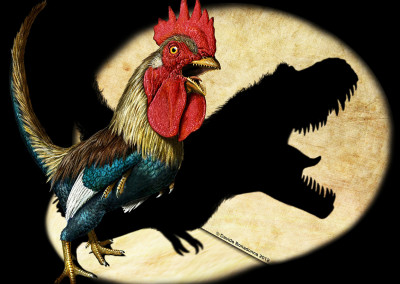 CHICKENSAURUS - Focus Magazine - June 2012 - Tempera and digital - 2012 - Scientific supervisor: Simone Maganuco