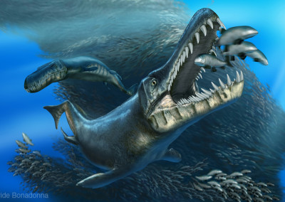 NEPTUNIDRACO - Digital - 2012 - Scientific supervisor: Andrea Cau