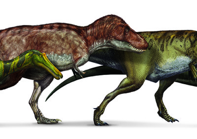 SPINOSAURUS AND OTHER THEROPODS - National Geographic exhibition “Spinosaurus - Lost Giants of Cretaceous”  - Digital - 2014 - Scientific supervisor: Simone Maganuco Design: Andrea Pirondini