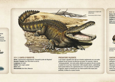 RIVER PREDATORS - National Geographic exhibition “Spinosaurus - Lost Giants of Cretaceous” - Digital - 2014 - Scientific supervisor: Nizar Ibrahim and Simone Maganuco Design: Andrea Pirondini